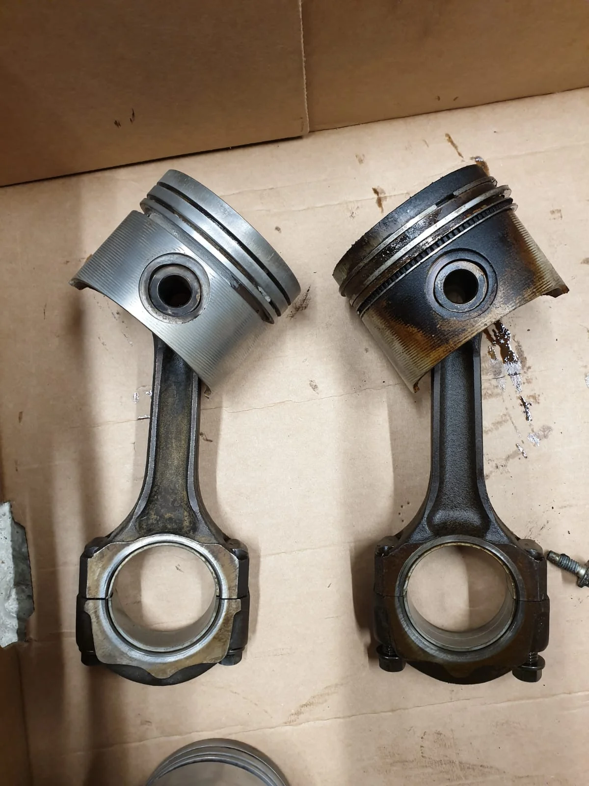 IMG-20190210-WA0003.webp