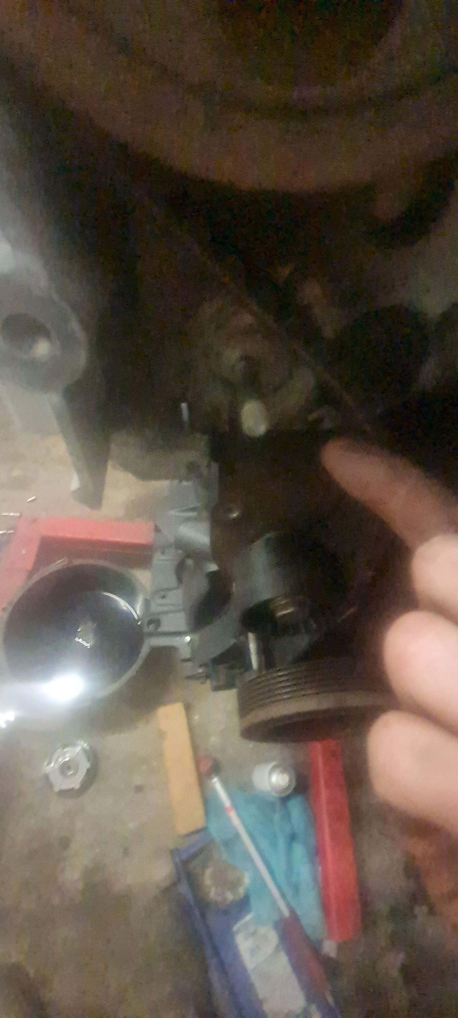 IMG-20210216-WA0010.webp