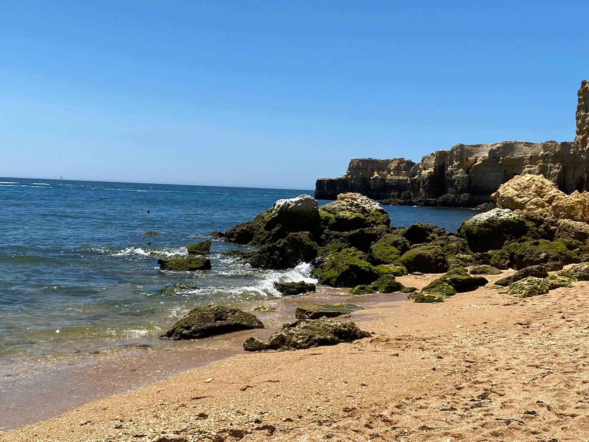 IMG-20210729-WA0019.webp