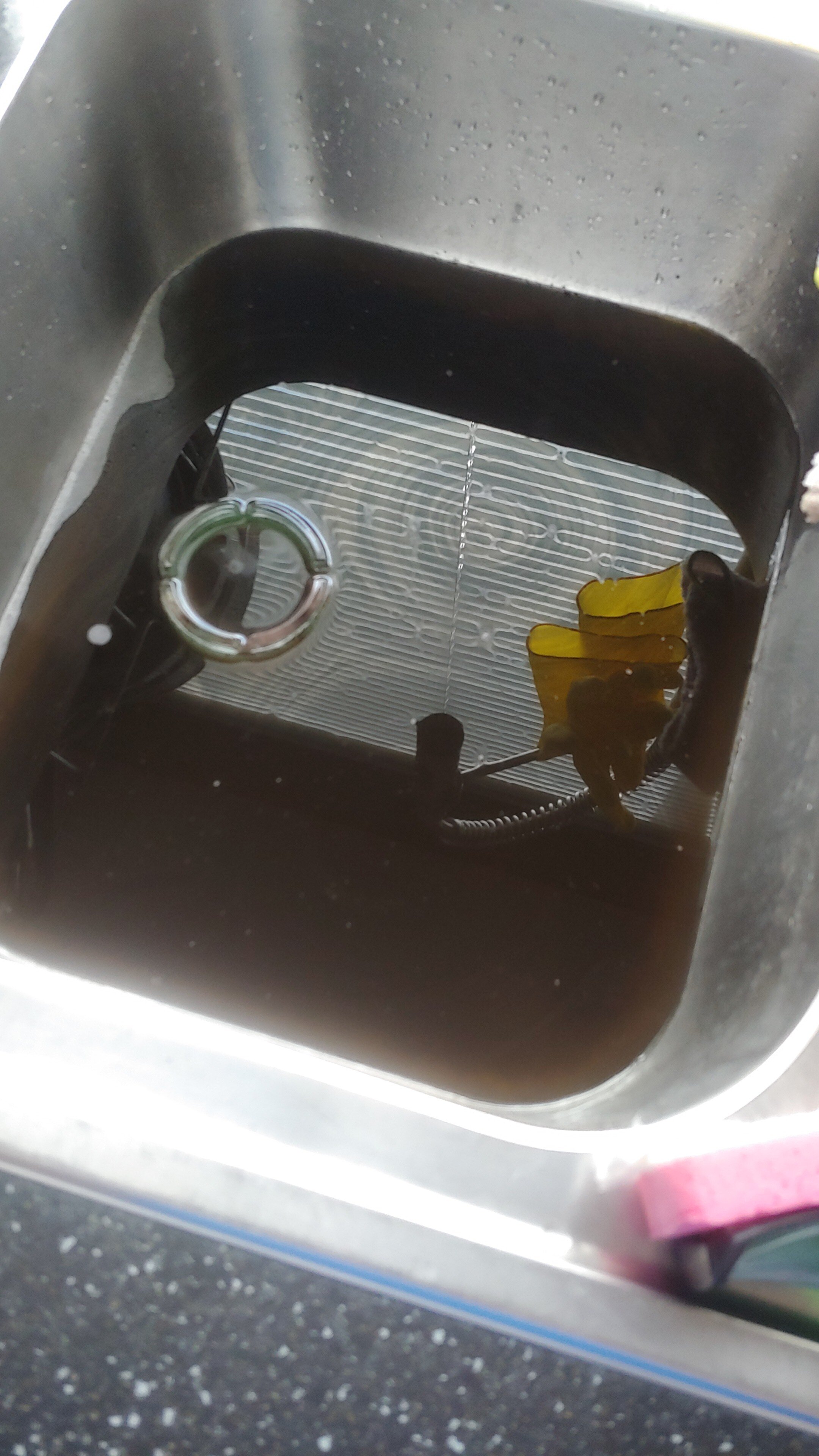 IMG-20220402-WA0003.jpeg
