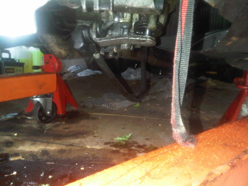 img00017.jpg img00017.jpg