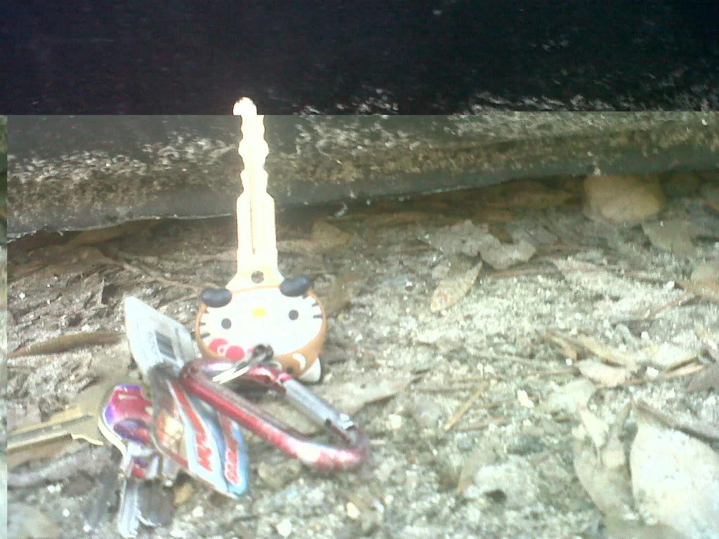 IMG00072-20110129-1520.webp
