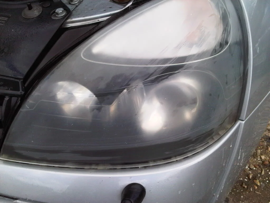 IMG00084-20100515-1159.webp