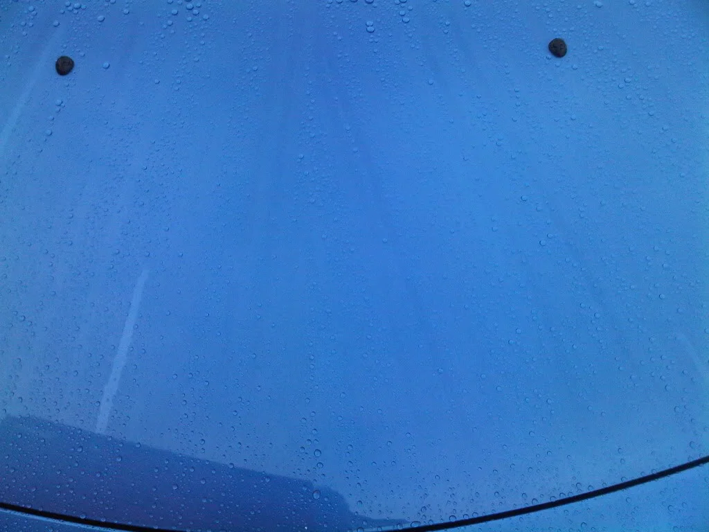 IMG00092-20100128-0818.webp