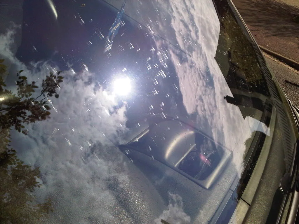 IMG00105-20100515-1606.webp