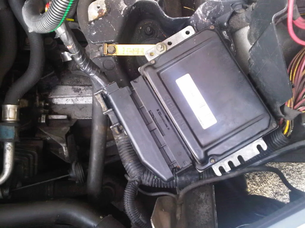 IMG00134-20100629-1823.webp