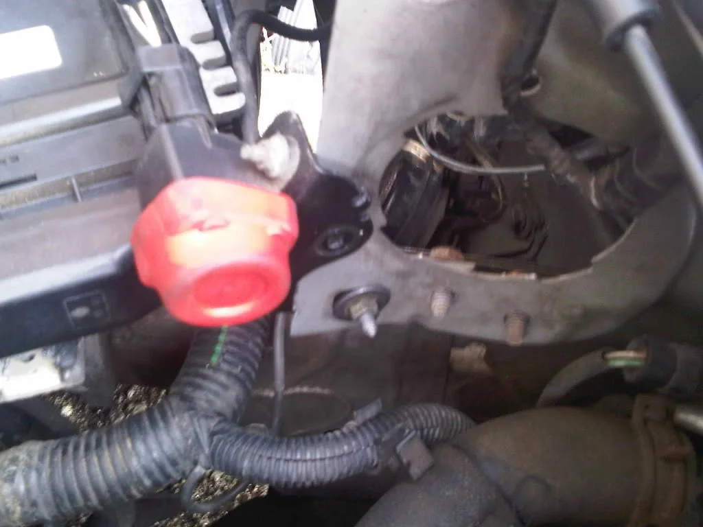 IMG00136-20100629-1829.webp