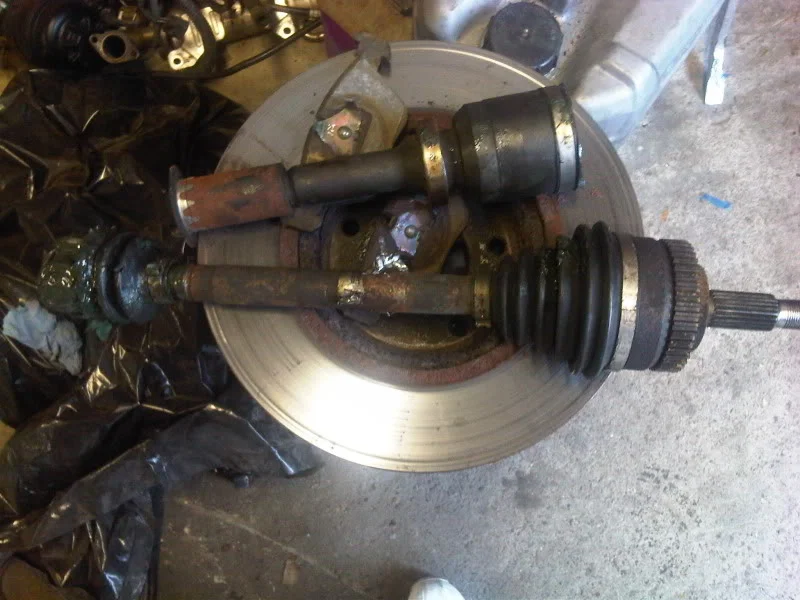 IMG00139-20110312-0958.webp