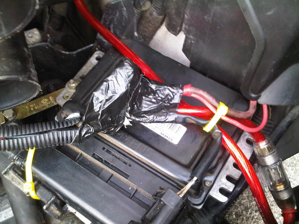 IMG00141-20100629-1954.webp