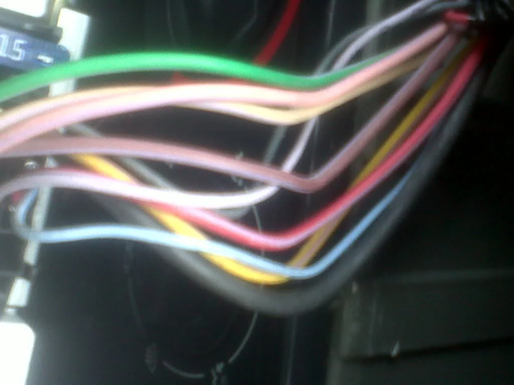 IMG00142-20110706-1328.webp