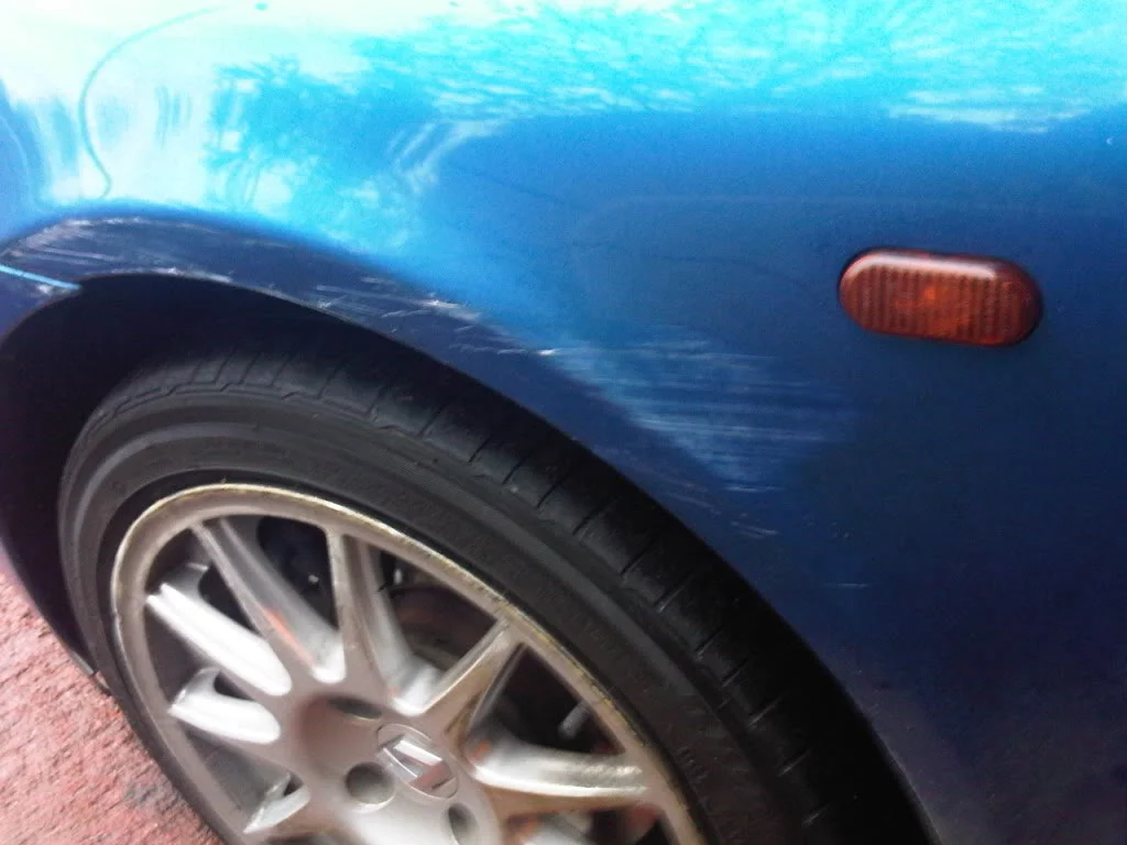 IMG00145-20101210-1246.webp