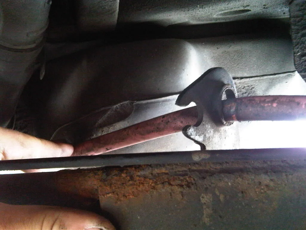 IMG00152-20100703-1050.webp