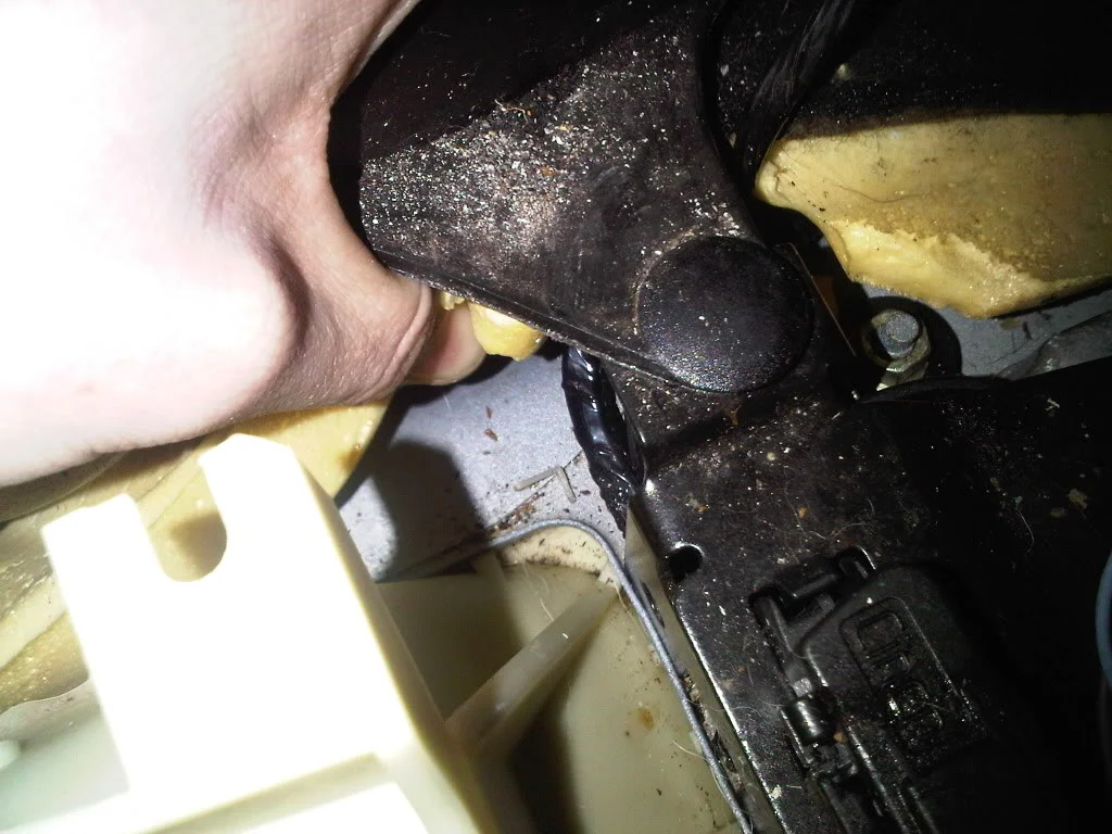 IMG00154-20100226-1735.webp