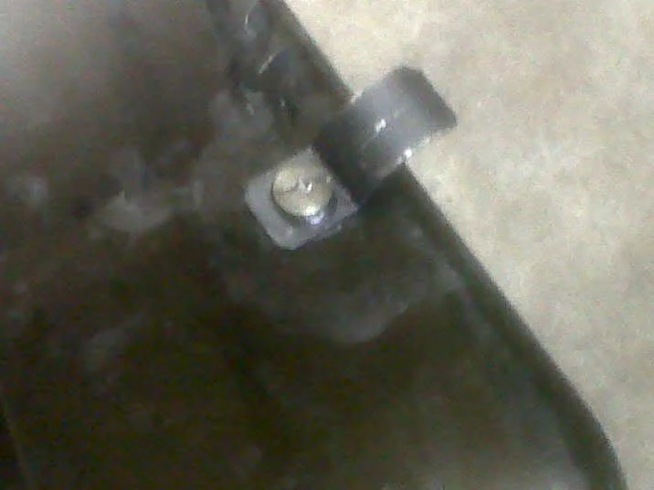 IMG00188-20110812-1338.webp