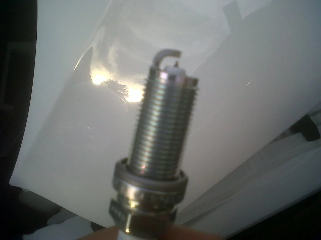 IMG00215-20111009-1729.webp
