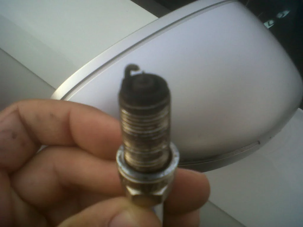 IMG00219-20111009-17372.webp