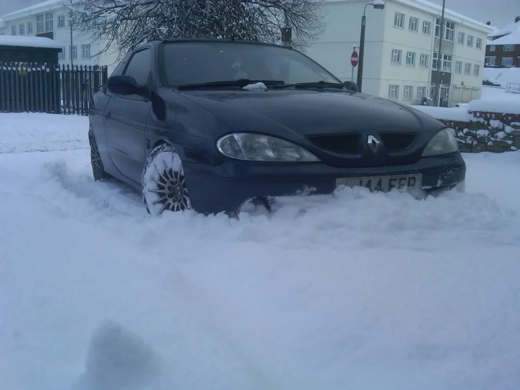 IMG00298-20101217-1248.webp