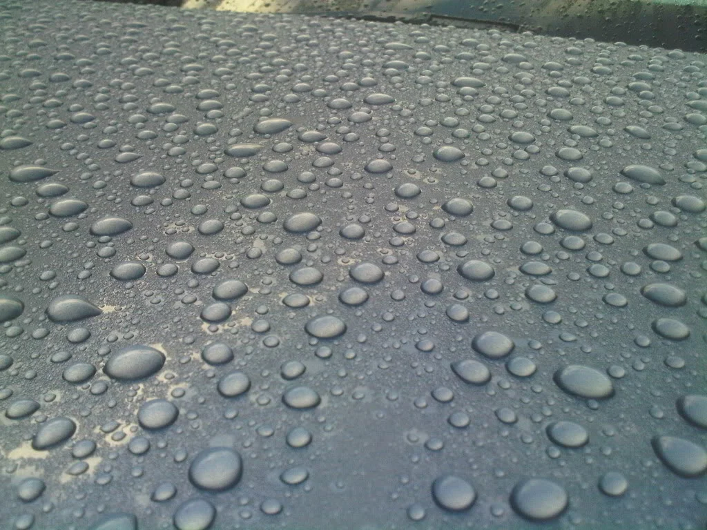 IMG00324-20100912-0737.webp