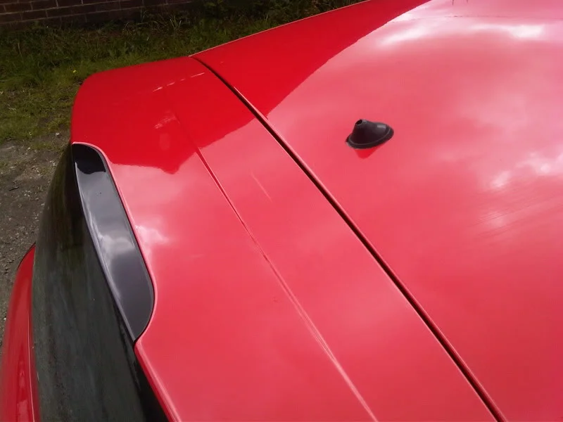 IMG00348-20110528-1409.webp