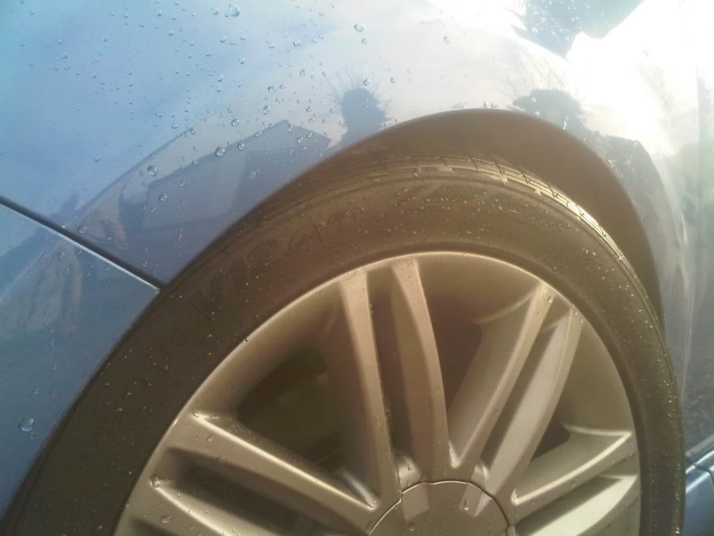 IMG00385-20110210-1413-1.webp