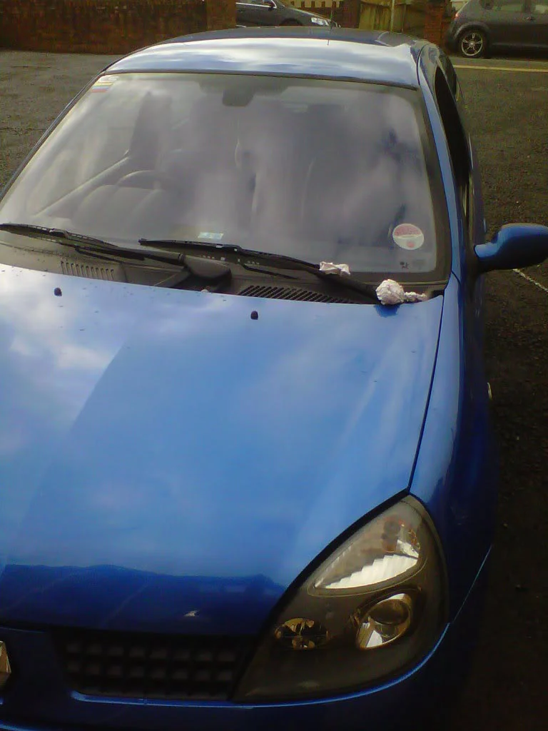 IMG00398-20110219-1247.webp