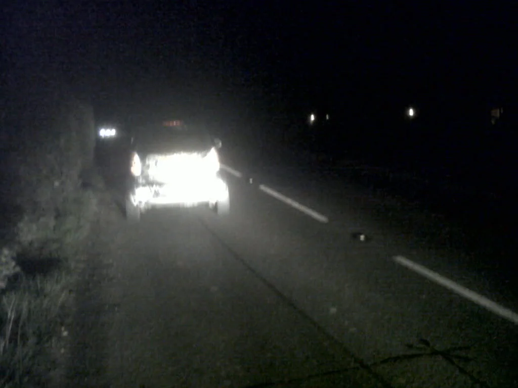IMG00434-20110311-1915.webp