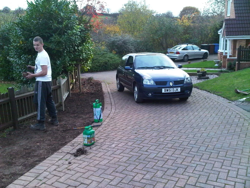 IMG00438-20101106-1515.webp