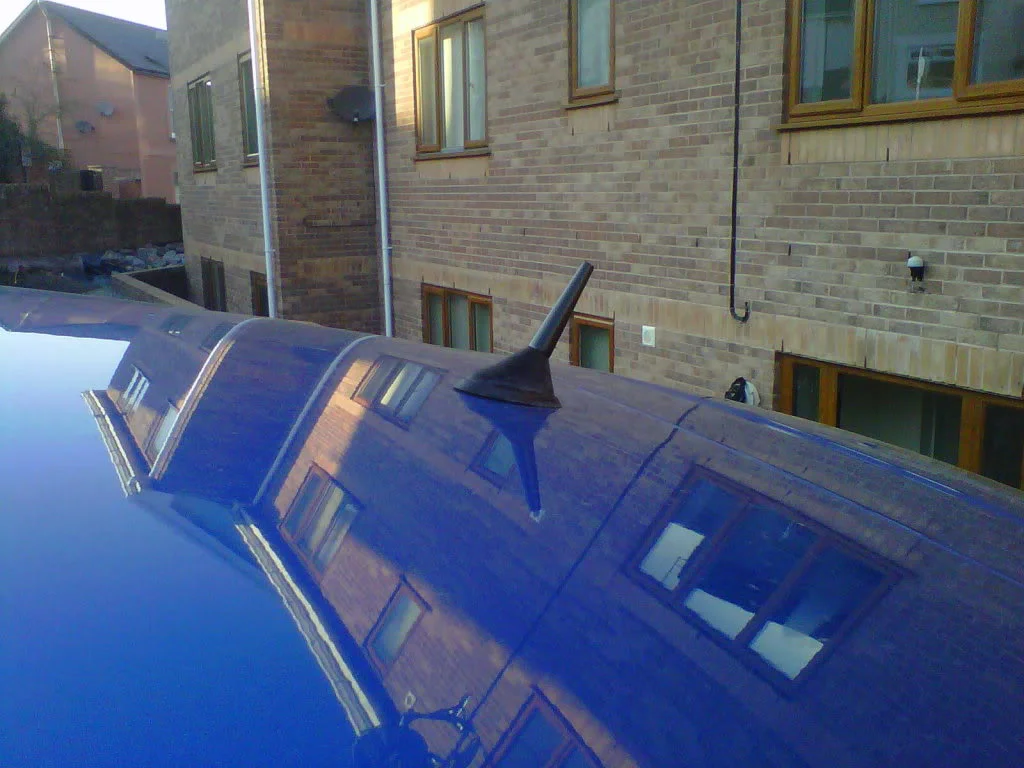 IMG00456-20110304-1636.webp
