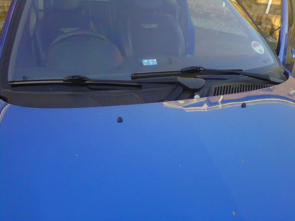 IMG00457-20110304-1640.webp