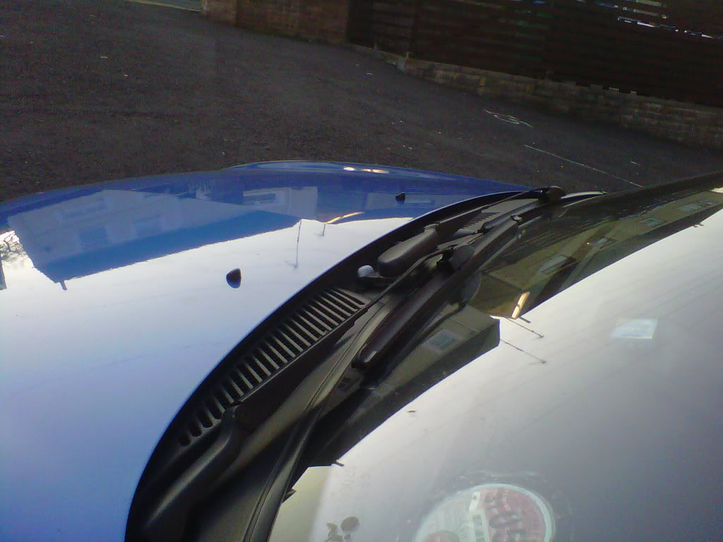 IMG00464-20110304-1646.jpg