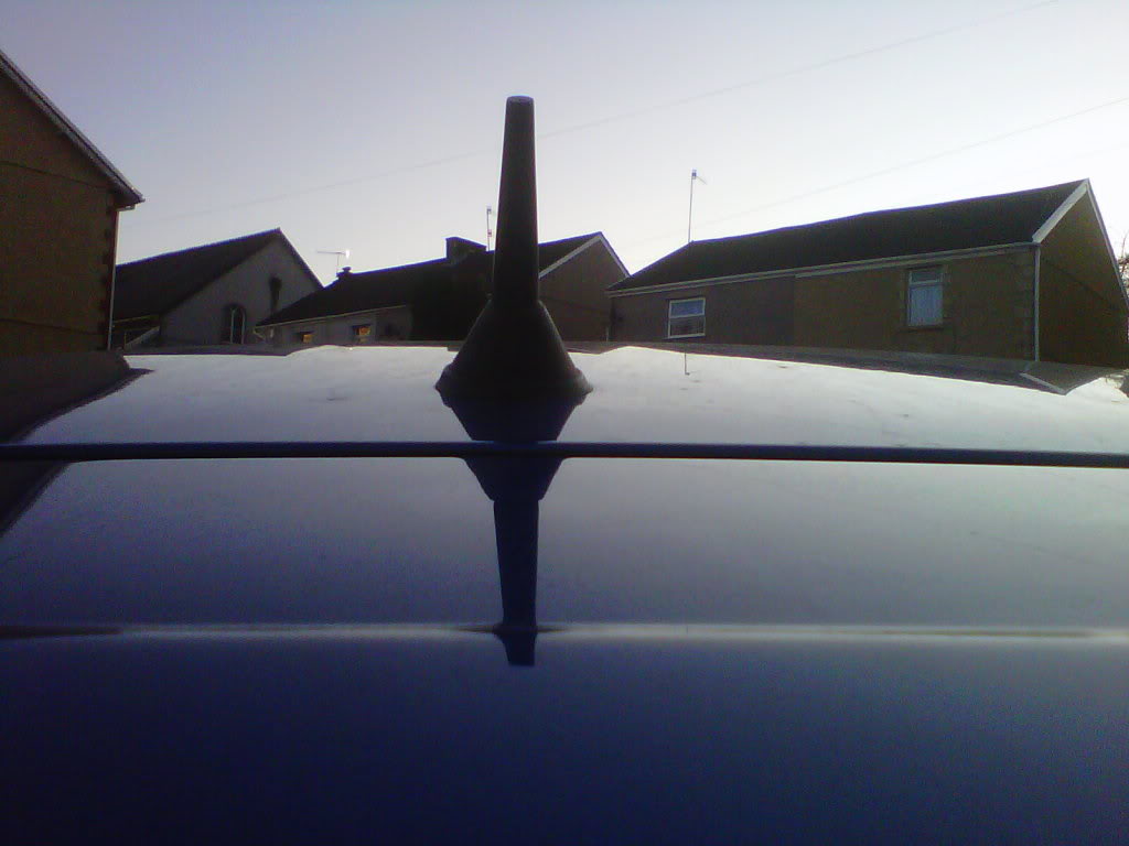 IMG00465-20110304-1646.jpg