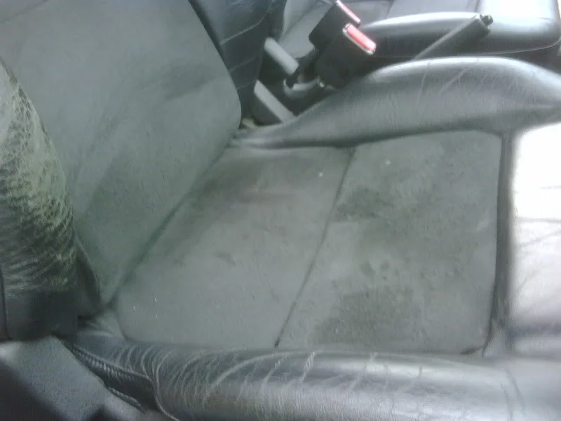 IMG00474-20090827-1426.webp