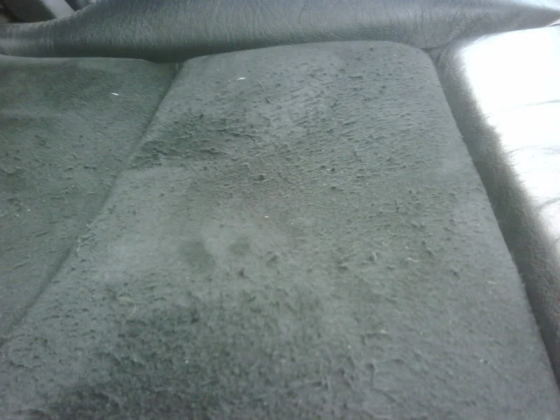 IMG00475-20090827-1426.webp