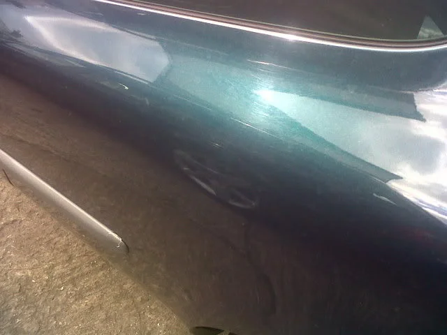 IMG00570-20100925-1409.webp