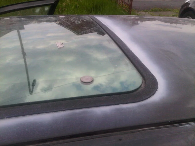 IMG00614-20120620-1716.webp