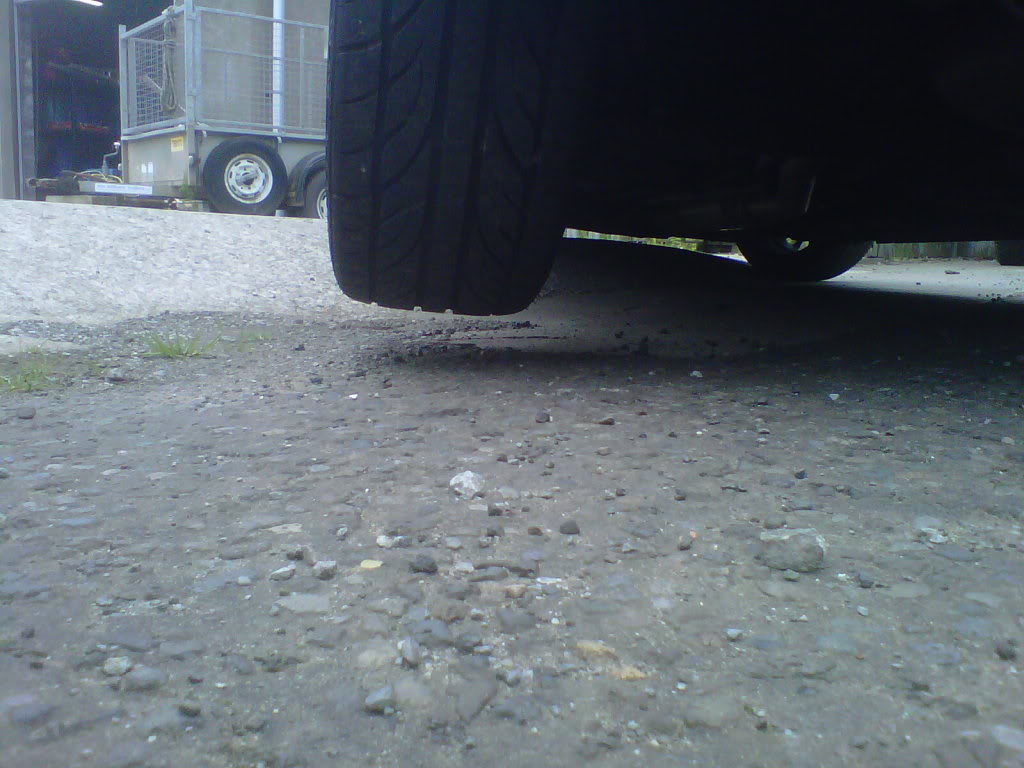 IMG00717-20110706-1436.jpg