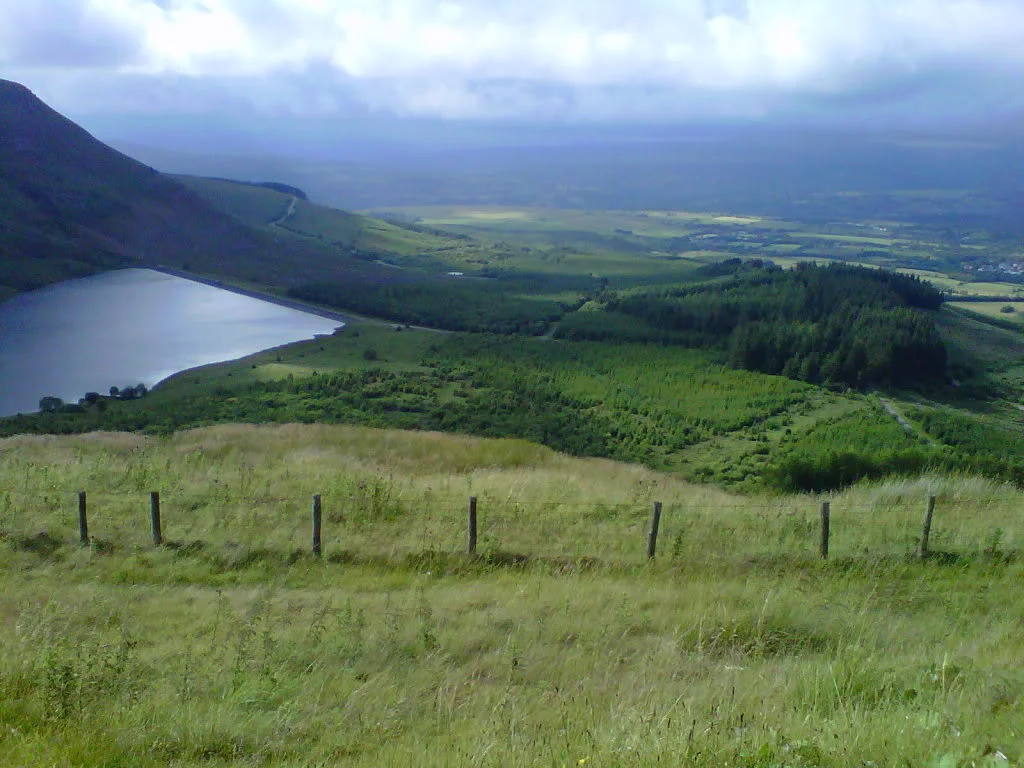 IMG00758-20110709-1739.webp