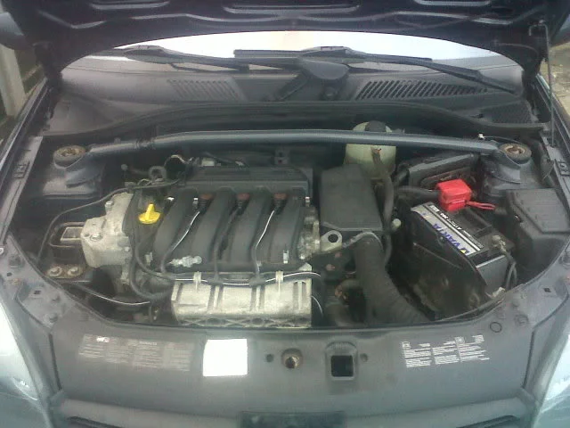 IMG00784-20110126-1623.webp