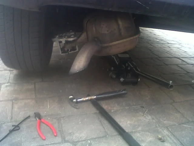 IMG00792-20110130-1506.webp