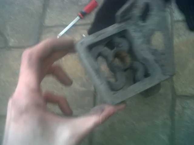 IMG00793-20110130-1515.webp