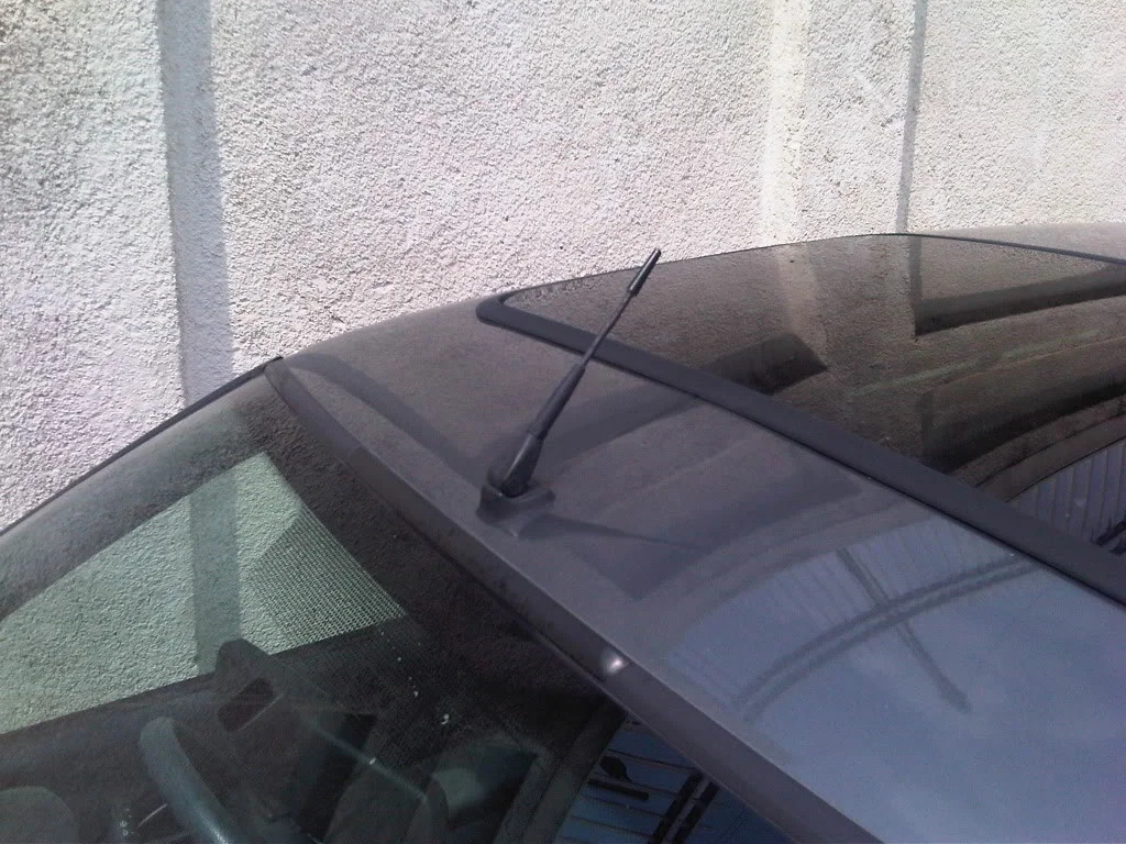 IMG00980-20110723-1410.webp