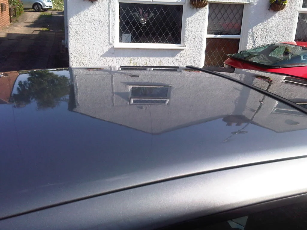 IMG01015-20110730-1643.webp