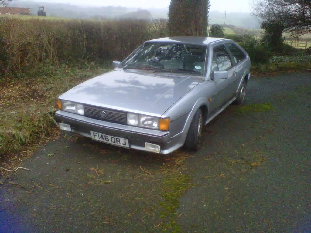 IMG01056-20120210-1105.webp