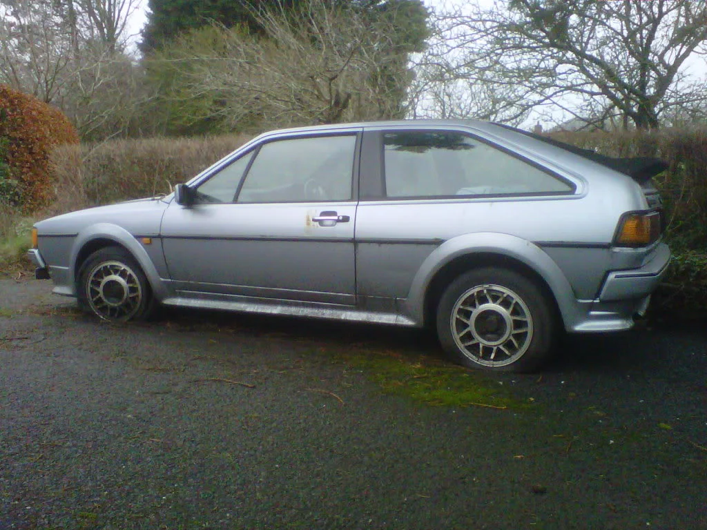 IMG01058-20120210-1105.webp