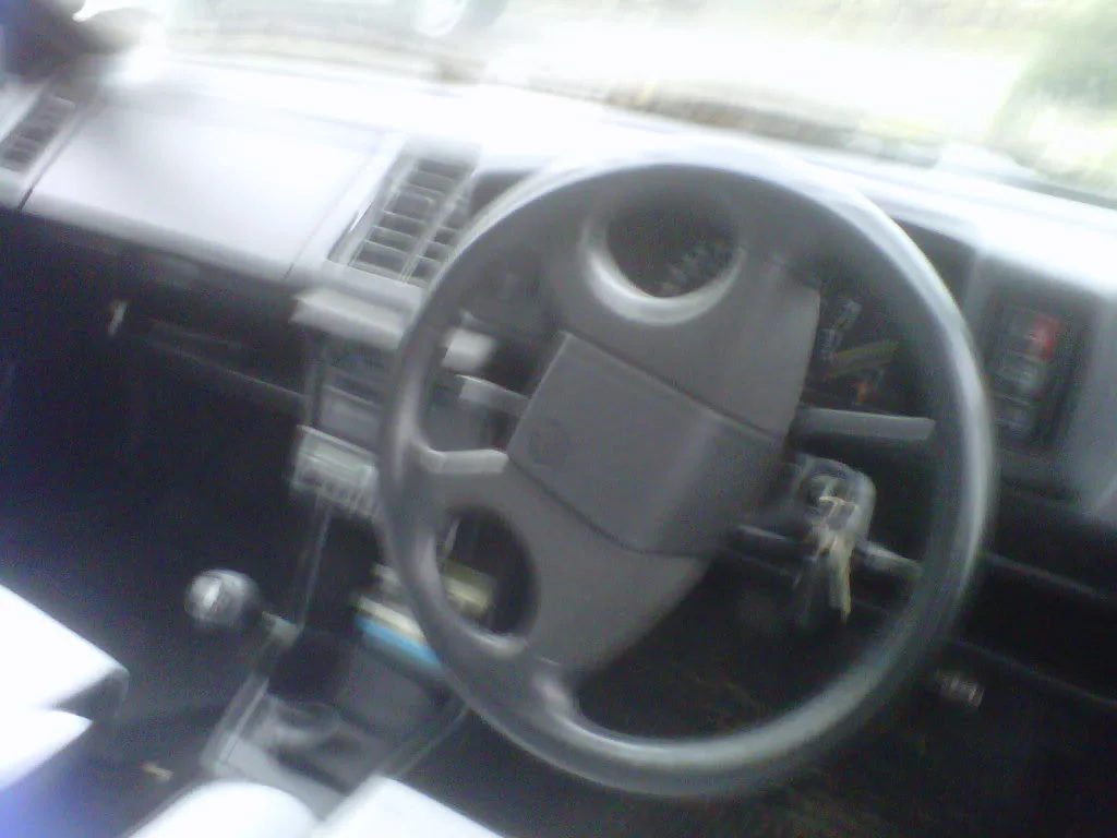 IMG01061-20120210-1106.webp