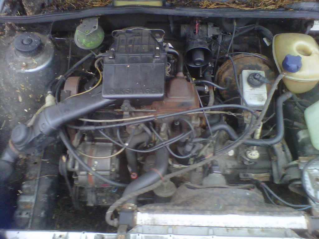 IMG01062-20120210-1107.webp