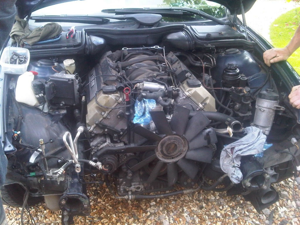 IMG02045-20120512-1610.jpg