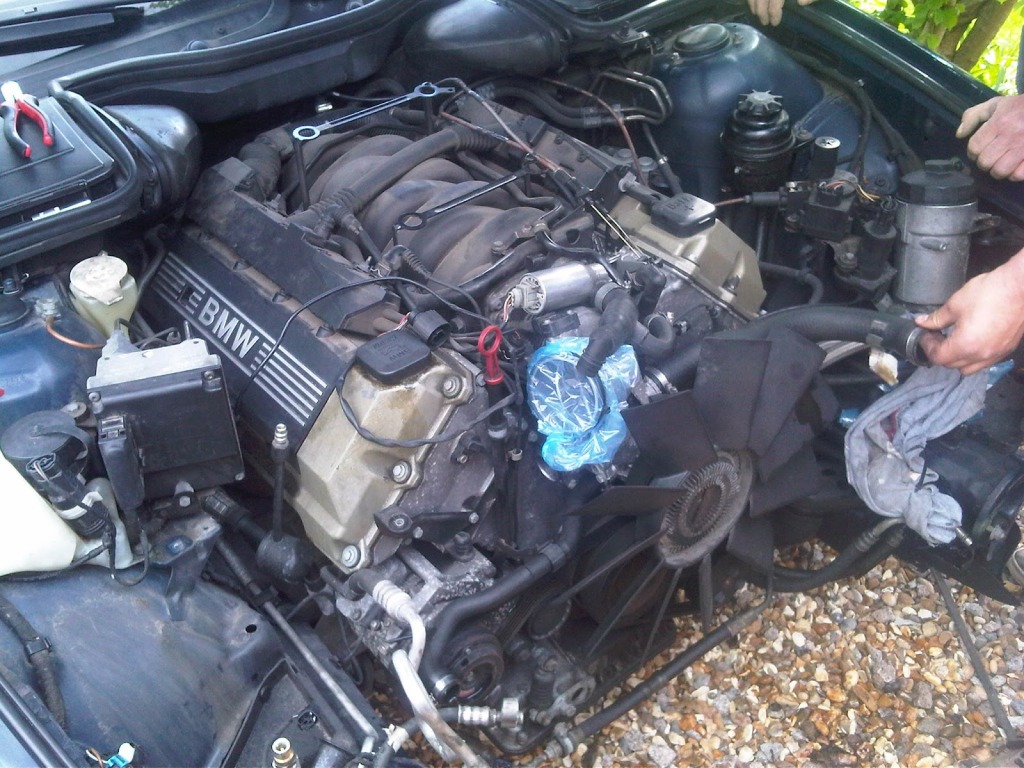 IMG02047-20120512-1611.jpg