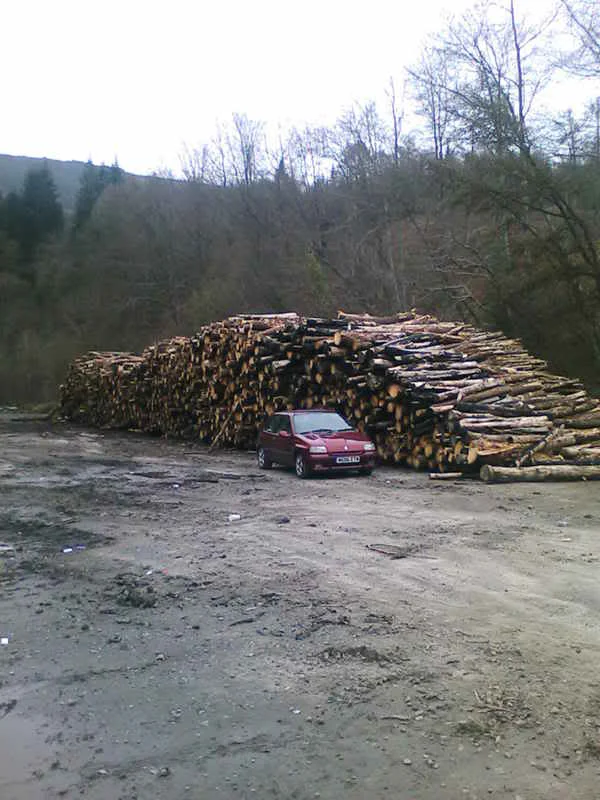 IMG049.webp
