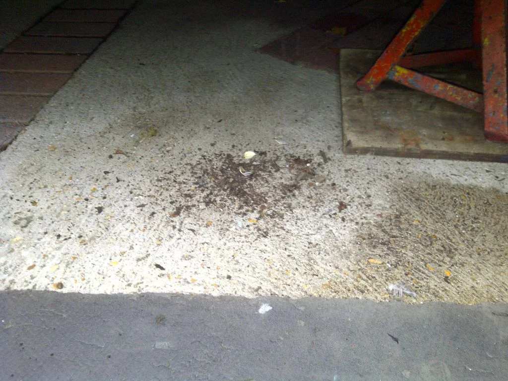 img2011091000340.webp